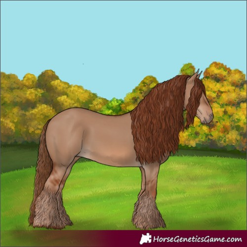 Horse Color:Red Dun 