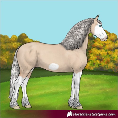 Horse Color:Silver Classic Champagne Dun Splash Frame 