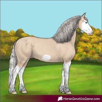 Horse Color:Silver Classic Champagne Dun Splash Frame 