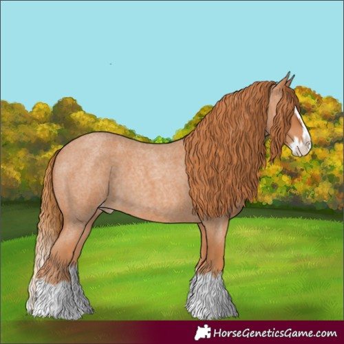 Horse Color:Red Roan Splash Varnish