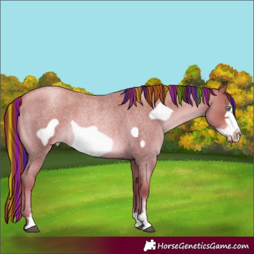 Horse Color:Painted Liver Red Roan Pearl Frame 