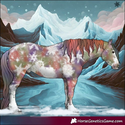 Horse Color:Nacre Bay Ice Dun Tobiano Frame 