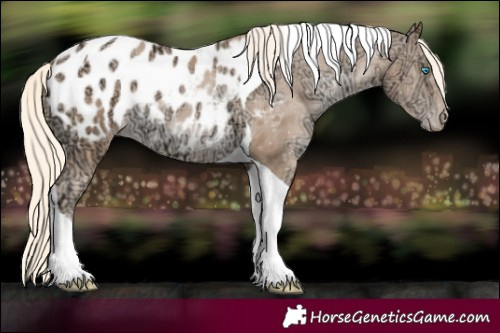 Horse Color:Chocolate Palomino Ice Pearl Tobiano Appaloosa