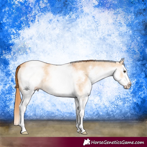 Horse Color:White Spotted Red Dun Splash 