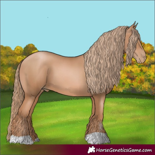 Horse Color:Chestnut Pearl 