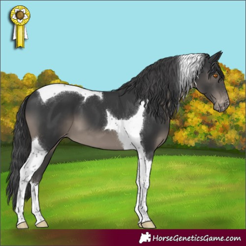 Horse Color:Black Tobiano Varnish 