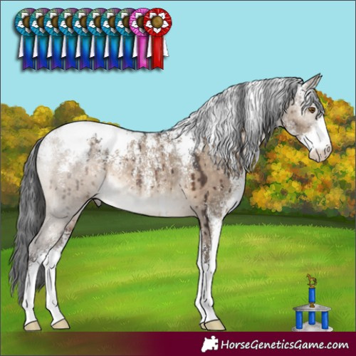 Horse Color:Powder White Brown Dun Rabicano Brindle