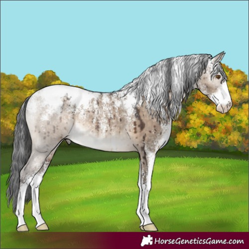 Horse Color:Powder White Brown Dun Rabicano Brindle 