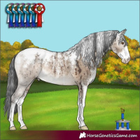 Horse Color:Powder White Brown Dun Rabicano Brindle