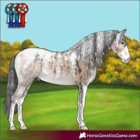 Horse Color:Powder White Brown Dun Rabicano Brindle 