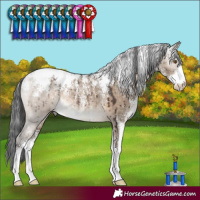 Horse Color:Powder White Brown Dun Rabicano Brindle