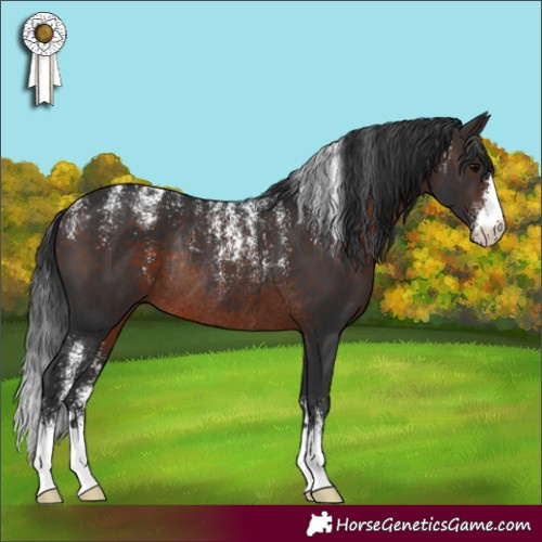 Horse Color:Powder White Brown Rabicano 