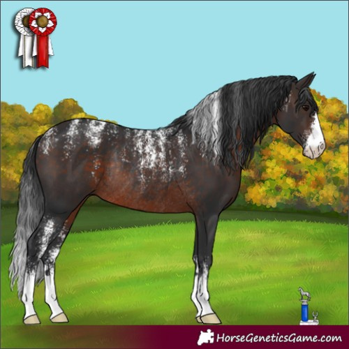Horse Color:Powder White Brown Rabicano 