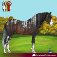 Horse Color:Powder White Brown Rabicano