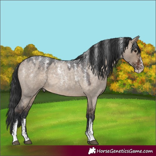 Horse Color:Powder White Brown Roan Dun 