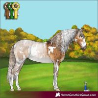 Horse Color:Gray White Spotted Chocolate Palomino Dun Rabicano Brindle