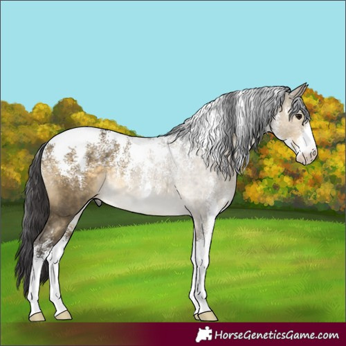 Horse Color:Powder White Buckskin Dun Rabicano 