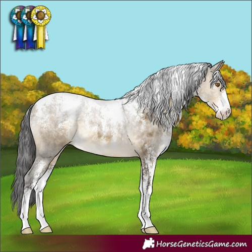 Horse Color:Powder White Buckskin Dun Rabicano 