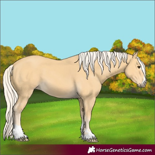 Horse Color:Palomino