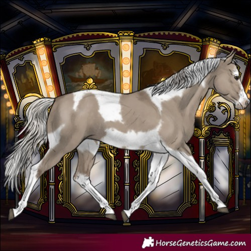 Horse Color:Silver Grullo Splash Tobiano Frame 