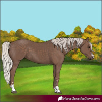 Horse Color:Silver Black 