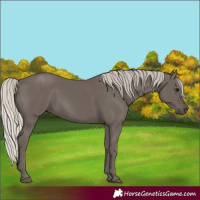 Horse Color:Silver Black 