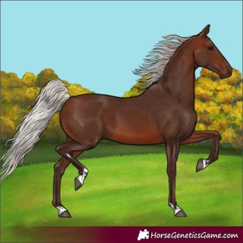 Horse Color:Silver Brown 
