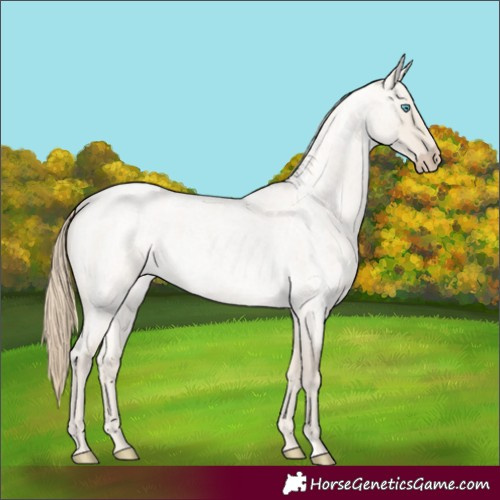 Horse Color:Smoky Creme Roan Dun 