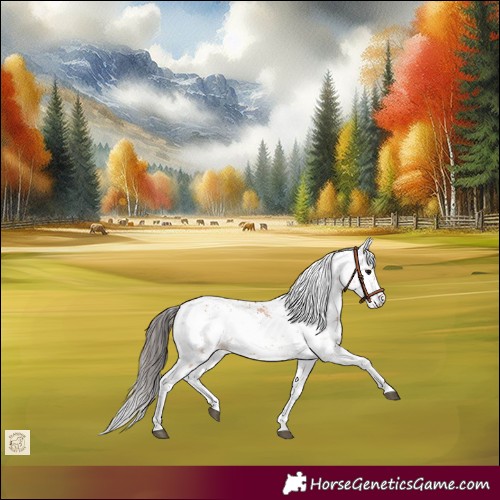 Horse Color:Bay Sabino
