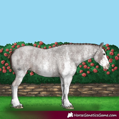 Horse Color:White Spotted Liver Red Roan Splash 