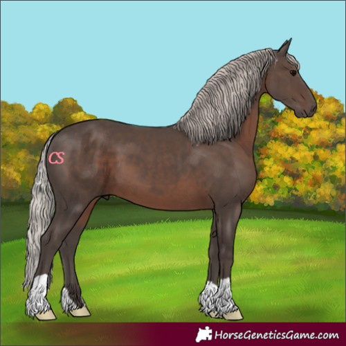 Horse Color:Silver Black 