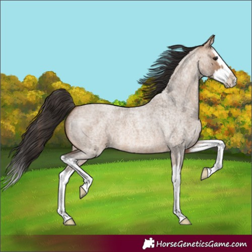 Horse Color:Bay Roan Dun Splash 