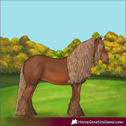 Horse Color:Chestnut 