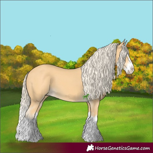 Horse Color:Palomino Splash 