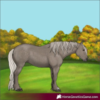 Horse Color:Silver Grullo