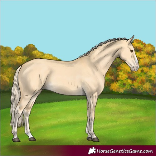 Horse Color:Palomino Dun Splash