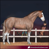 Horse Color:Red Roan Splash 