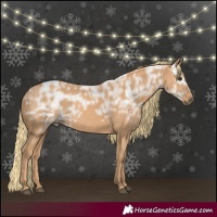 Horse Color:Chestnut Ice 