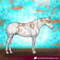 Horse Color:Chocolate Palomino Pearl Sabino Varnish Rabicano  and White Spotted Chocolate Palomino Pearl Sabino Varnish Rabicano 