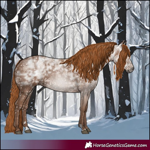 Horse Color:Gray Chestnut Ice