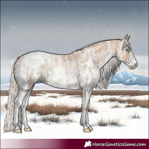 Horse Color:Chocolate Palomino Pearl Sabino Varnish Rabicano and Chocolate Palomino Pearl Sabino Varnish Rabicano