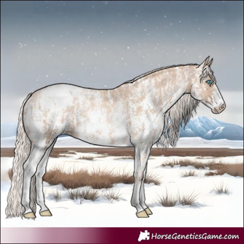 Horse Color:Chocolate Palomino Pearl Sabino Appaloosa Rabicano  and Chocolate Palomino Pearl Sabino Appaloosa Rabicano 
