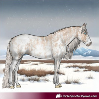 Horse Color:Chocolate Palomino Pearl Sabino Varnish Rabicano  and Chocolate Palomino Pearl Sabino Varnish Rabicano 