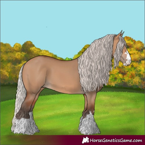 Horse Color:Silver Bay Dun 