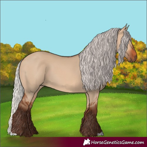 Horse Color:Silver Bay Dun 