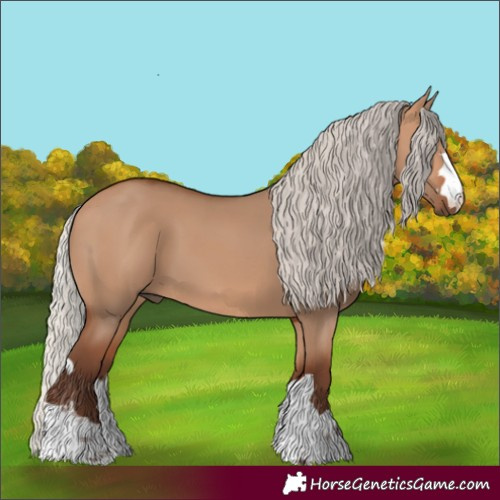 Horse Color:Silver Bay Dun 