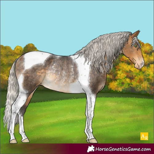 Horse Color:Silver Buckskin Tobiano Blanket Rabicano 