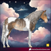 Horse Color:Silver Buckskin Tobiano Blanket Rabicano 