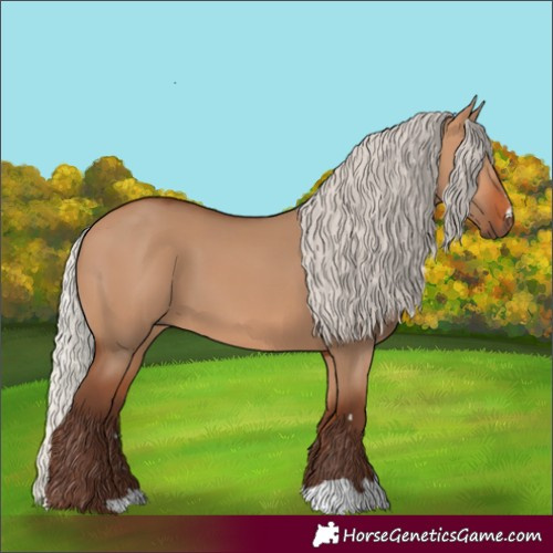 Horse Color:Silver Bay Dun 