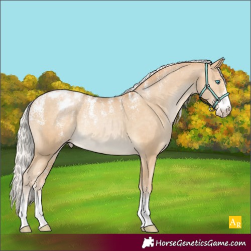 Horse Color:Powder White Silver Smoky Black Pearl Appaloosa Rabicano 